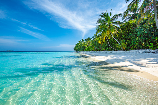 Luxury Travel